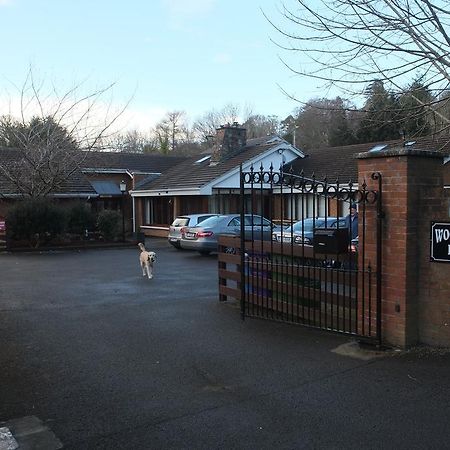 Woodville B&B Bray Dış mekan fotoğraf